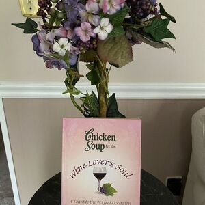 Book-Chicken Soup For The Wine Lover's Soul